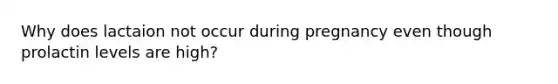 Why does lactaion not occur during pregnancy even though prolactin levels are high?