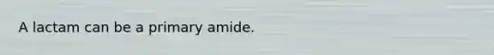 A lactam can be a primary amide.