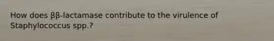 How does ββ-lactamase contribute to the virulence of Staphylococcus spp.?