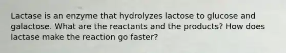 Lactase is an enzyme that hydrolyzes lactose to glucose and galactose. What are the reactants and the products? How does lactase make the reaction go faster?