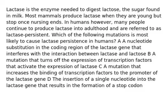 Lactase is the enzyme needed to digest lactose, the sugar found in milk. Most mammals produce lactase when they are young but stop once nursing ends. In humans however, many people continue to produce lactase into adulthood and are referred to as lactase-persistent. Which of the following mutations is most likely to cause lactase persistence in humans? A A nucleotide substitution in the coding region of the lactase gene that interferes with the interaction between lactase and lactose B A mutation that turns off the expression of transcription factors that activate the expression of lactase C A mutation that increases the binding of transcription factors to the promoter of the lactase gene D The insertion of a single nucleotide into the lactase gene that results in the formation of a stop codon