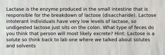 Lactase is the enzyme produced in the small intestine that is responsible for the breakdown of lactose (disaccharide). Lactose intolerant individuals have very low levels of lactase, so undigested lactose just sits on the colon. What type of feces do you think that person will most likely excrete? Hint: Lactose is a solute so think back to lab one where we talked about solutes and solvents