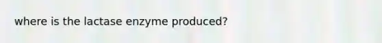 where is the lactase enzyme produced?