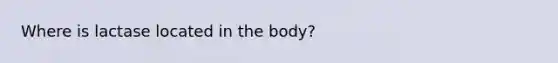 Where is lactase located in the body?