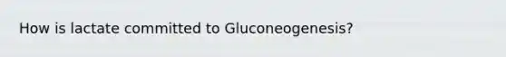 How is lactate committed to Gluconeogenesis?