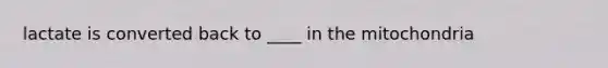 lactate is converted back to ____ in the mitochondria