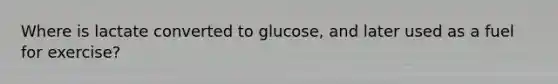 Where is lactate converted to glucose, and later used as a fuel for exercise?