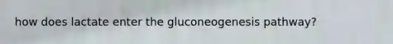 how does lactate enter the gluconeogenesis pathway?