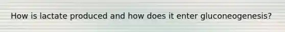 How is lactate produced and how does it enter gluconeogenesis?