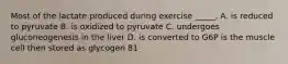 Most of the lactate produced during exercise _____. A. is reduced to pyruvate B. is oxidized to pyruvate C. undergoes gluconeogenesis in the liver D. is converted to G6P is the muscle cell then stored as glycogen 81