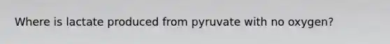 Where is lactate produced from pyruvate with no oxygen?