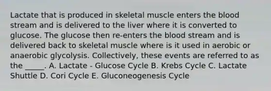 Lactate that is produced in skeletal muscle enters <a href='https://www.questionai.com/knowledge/k7oXMfj7lk-the-blood' class='anchor-knowledge'>the blood</a> stream and is delivered to the liver where it is converted to glucose. The glucose then re-enters the blood stream and is delivered back to skeletal muscle where is it used in aerobic or anaerobic glycolysis. Collectively, these events are referred to as the _____. A. Lactate - Glucose Cycle B. <a href='https://www.questionai.com/knowledge/kqfW58SNl2-krebs-cycle' class='anchor-knowledge'>krebs cycle</a> C. Lactate Shuttle D. Cori Cycle E. Gluconeogenesis Cycle