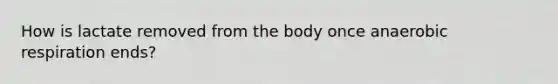 How is lactate removed from the body once anaerobic respiration ends?