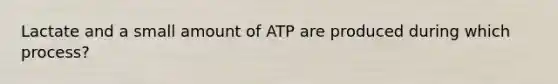 Lactate and a small amount of ATP are produced during which process?