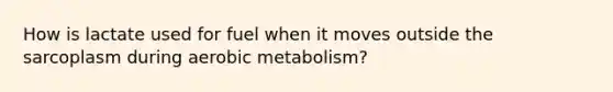 How is lactate used for fuel when it moves outside the sarcoplasm during aerobic metabolism?