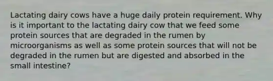 Lactating dairy cows have a huge daily protein requirement. Why is it important to the lactating dairy cow that we feed some protein sources that are degraded in the rumen by microorganisms as well as some protein sources that will not be degraded in the rumen but are digested and absorbed in <a href='https://www.questionai.com/knowledge/kt623fh5xn-the-small-intestine' class='anchor-knowledge'>the small intestine</a>?