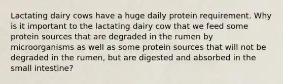 Lactating dairy cows have a huge daily protein requirement. Why is it important to the lactating dairy cow that we feed some protein sources that are degraded in the rumen by microorganisms as well as some protein sources that will not be degraded in the rumen, but are digested and absorbed in the small intestine?