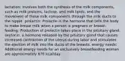 lactation: involves both the synthesis of the milk components, such as milk proteins, lactose, and milk lipids, and the movement of these milk components through the milk ducts to the nipple. prolactin: Prolactin is the hormone that tells the body to make breast milk when a person is pregnant or breast-feeding. Production of prolactin takes place in the pituitary gland. oxytocin: a hormone released by the pituitary gland that causes increased contraction of the uterus during labor and stimulates the ejection of milk into the ducts of the breasts. energy needs: Additional energy needs for an exclusively breastfeeding woman are approximately 670 kcal/day.