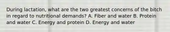 During lactation, what are the two greatest concerns of the bitch in regard to nutritional demands? A. Fiber and water B. Protein and water C. Energy and protein D. Energy and water