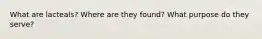 What are lacteals? Where are they found? What purpose do they serve?