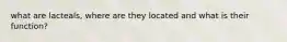 what are lacteals, where are they located and what is their function?