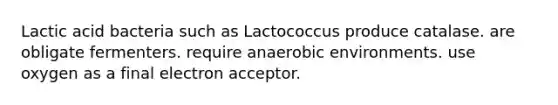 Lactic acid bacteria such as Lactococcus produce catalase. are obligate fermenters. require anaerobic environments. use oxygen as a final electron acceptor.