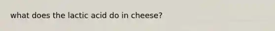 what does the lactic acid do in cheese?