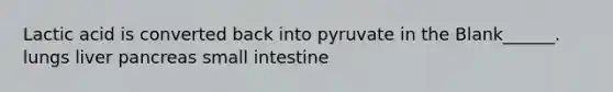 Lactic acid is converted back into pyruvate in the Blank______. lungs liver pancreas small intestine