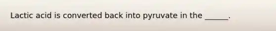 Lactic acid is converted back into pyruvate in the ______.