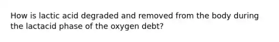 How is lactic acid degraded and removed from the body during the lactacid phase of the oxygen debt?