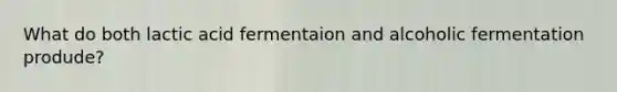 What do both lactic acid fermentaion and alcoholic fermentation produde?