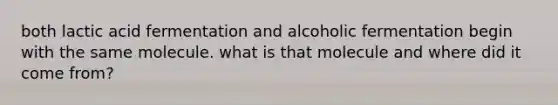 both lactic acid fermentation and alcoholic fermentation begin with the same molecule. what is that molecule and where did it come from?