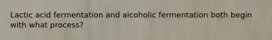 Lactic acid fermentation and alcoholic fermentation both begin with what process?