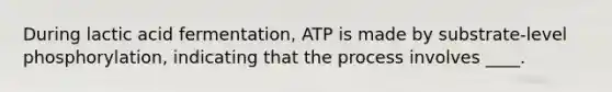 During lactic acid fermentation, ATP is made by substrate-level phosphorylation, indicating that the process involves ____.