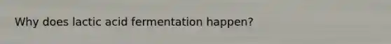 Why does lactic acid fermentation happen?