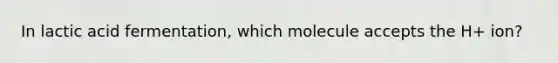 In lactic acid fermentation, which molecule accepts the H+ ion?