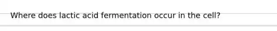 Where does lactic acid fermentation occur in the cell?