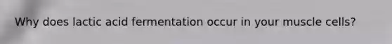 Why does lactic acid fermentation occur in your muscle cells?