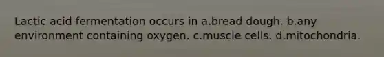 Lactic acid fermentation occurs in a.bread dough. b.any environment containing oxygen. c.muscle cells. d.mitochondria.