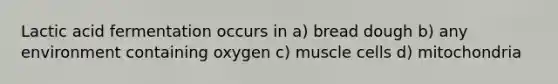 Lactic acid fermentation occurs in a) bread dough b) any environment containing oxygen c) muscle cells d) mitochondria