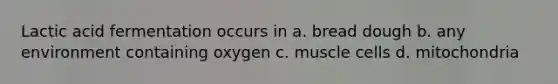 Lactic acid fermentation occurs in a. bread dough b. any environment containing oxygen c. muscle cells d. mitochondria