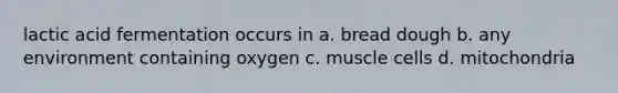 lactic acid fermentation occurs in a. bread dough b. any environment containing oxygen c. muscle cells d. mitochondria