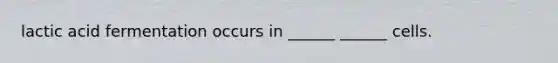 lactic acid fermentation occurs in ______ ______ cells.