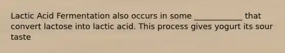 Lactic Acid Fermentation also occurs in some ____________ that convert lactose into lactic acid. This process gives yogurt its sour taste