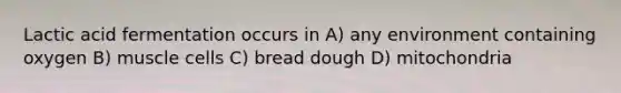 Lactic acid fermentation occurs in A) any environment containing oxygen B) muscle cells C) bread dough D) mitochondria