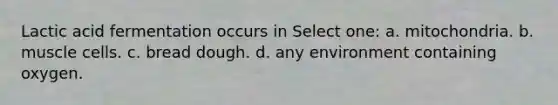 Lactic acid fermentation occurs in Select one: a. mitochondria. b. muscle cells. c. bread dough. d. any environment containing oxygen.