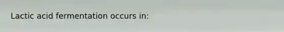 Lactic acid fermentation occurs in: