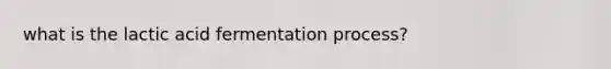 what is the lactic acid fermentation process?