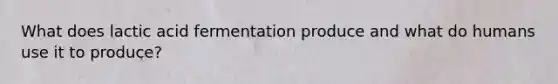 What does lactic acid fermentation produce and what do humans use it to produce?