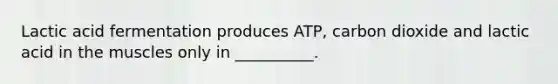Lactic acid fermentation produces ATP, carbon dioxide and lactic acid in the muscles only in __________.